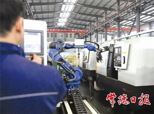 引金融活水，潤產業之花——常德財政推動非融資性擔保服務高質量發展